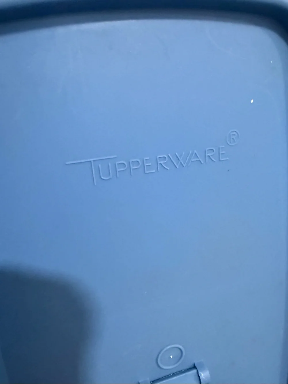 Tupperware Clear Cereal/Food Container with blue lid